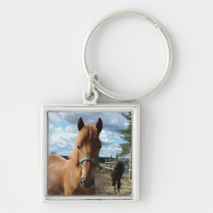 Horses key chain