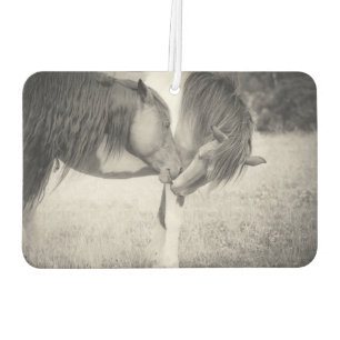 Horses Kissing Air Freshener
