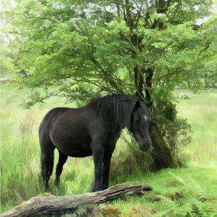 HORSES LABEL