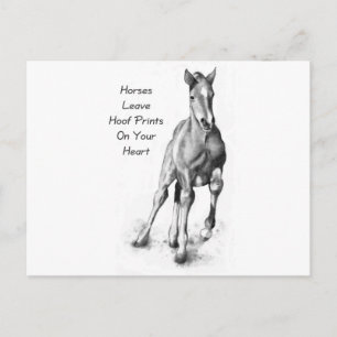 Horses Leave Hoofprints On Your Heart: Pencil Art Postcard