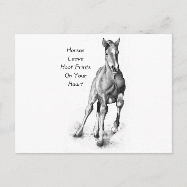 Horses Leave Hoofprints On Your Heart: Pencil Art Postcard (Front)