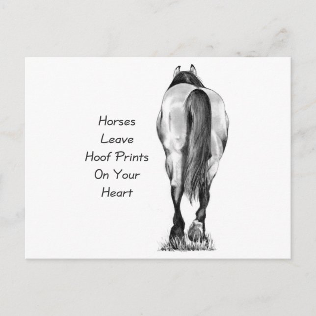 Horses Leave Hoofprints On Your Heart: Pencil Art Postcard (Front)