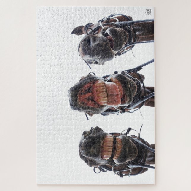 Horses looked in the mouth. 3 horses laughing. jigsaw puzzle (Vertical)