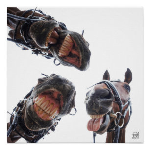Horses looked in the mouth. 3 horses laughing, ski poster