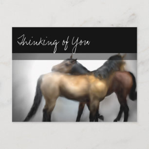 Horses Love Friendship Postcard - Thinking of You
