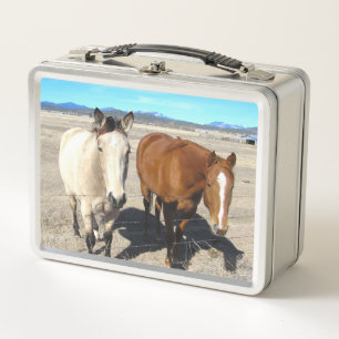 Horses Lunch Box