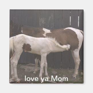 horses magnet