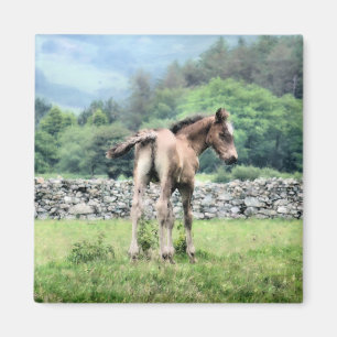 HORSES MAGNET