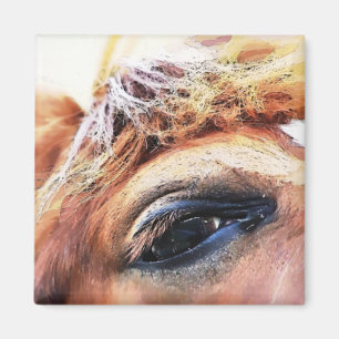 HORSES MAGNET