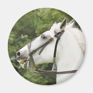 HORSES MAGNET