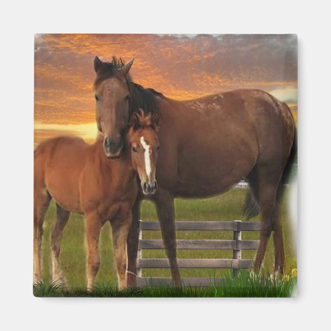 Horses Magnet (Front)