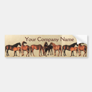 HORSES /MARES AND FOALS Horse Breeder Bumper Sticker