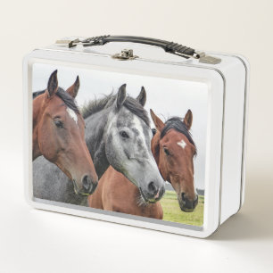 Horses Metal Lunch Box