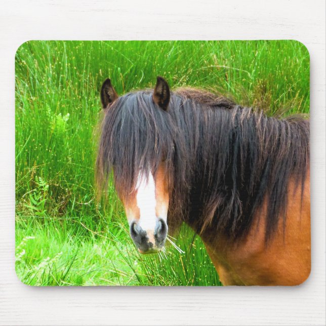 HORSES MOUSE MAT (Front)