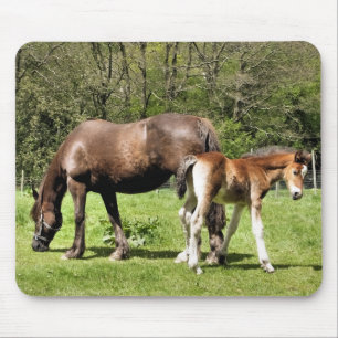 HORSES MOUSE MAT