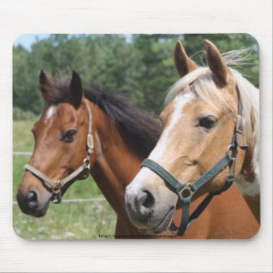 Horses Mouse Mat