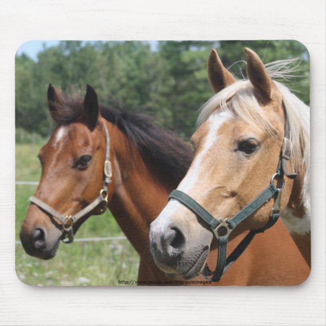 Horses Mouse Mat (Front)