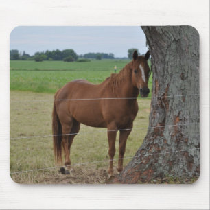 Horses Mouse Mat