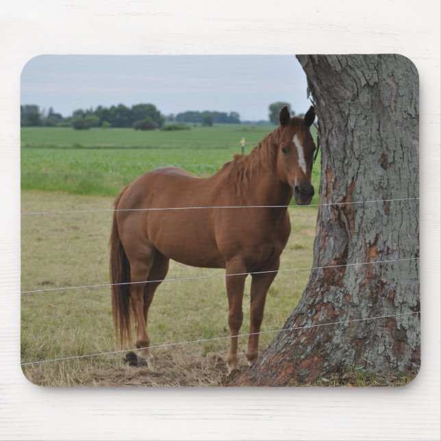 Horses Mouse Mat (Front)