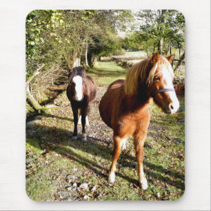 HORSES MOUSE MAT