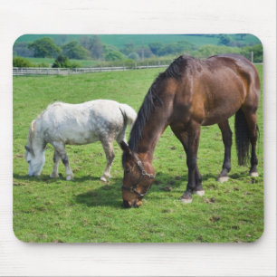 Horses Mouse Mat