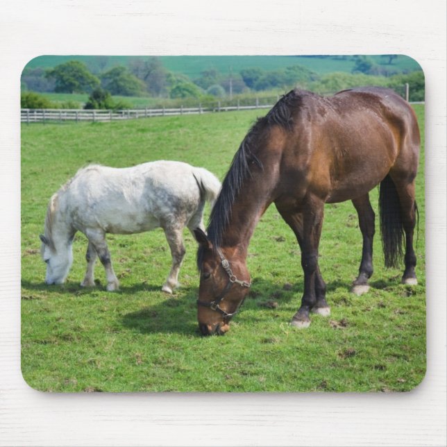 Horses Mouse Mat (Front)