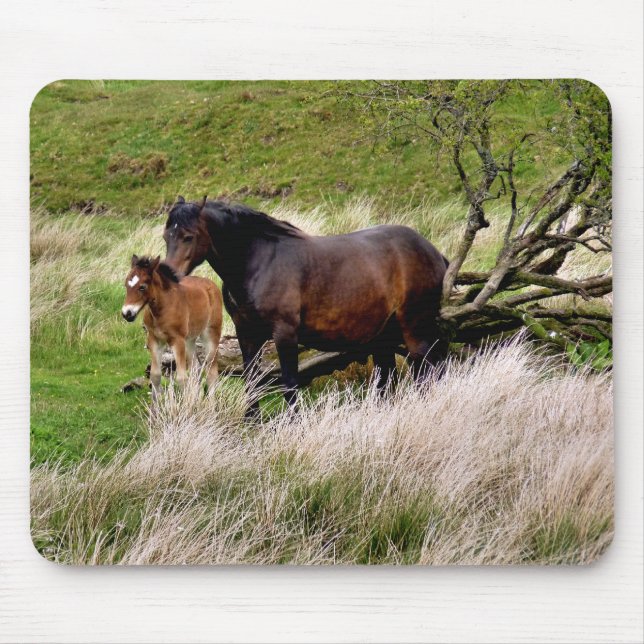 HORSES MOUSE MAT (Front)