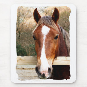 HORSES MOUSE MAT
