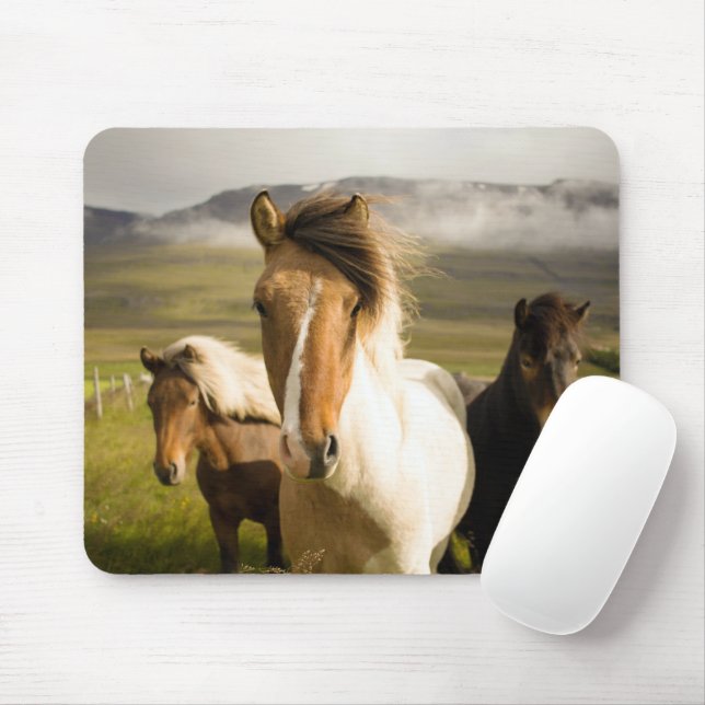 Horses Mouse Mat (With Mouse)