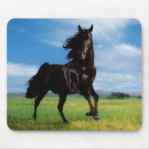 Horses Mouse Mat