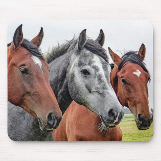 Horses Mouse Mat (Front)