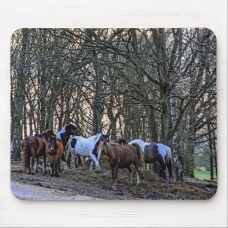 Horses Mouse Pad