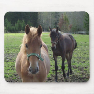 Horses mousepad
