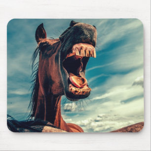 Horse's Mouth Teeth Neigh Wild Horse Animal Mouse Mat