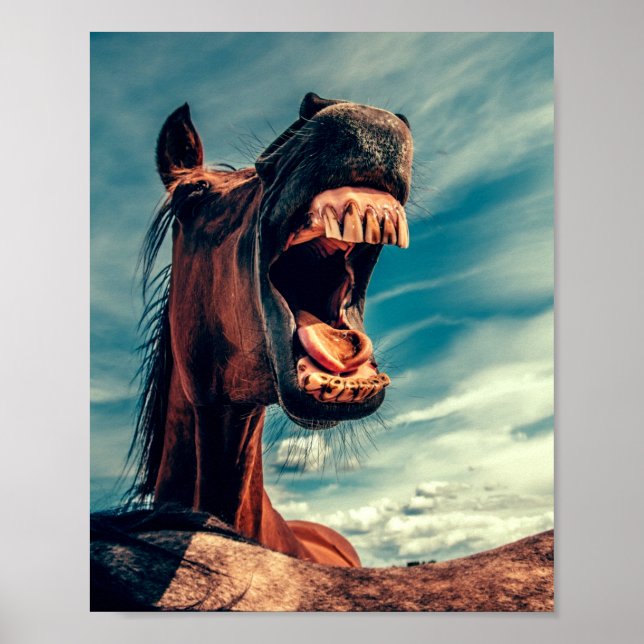 Horse's Mouth Teeth Neigh Wild Horse Animal Poster (Front)