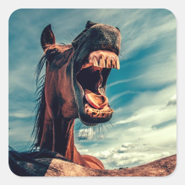Horse's Mouth Teeth Neigh Wild Horse Animal Square Sticker (Front)