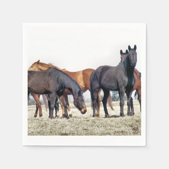HORSES NAPKIN (Front)