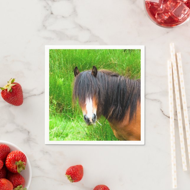 HORSES NAPKIN (Insitu)