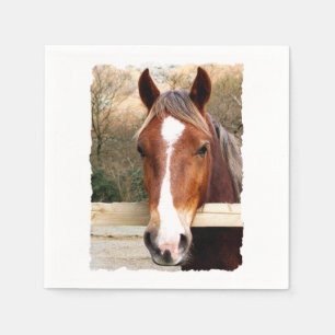 HORSES NAPKIN