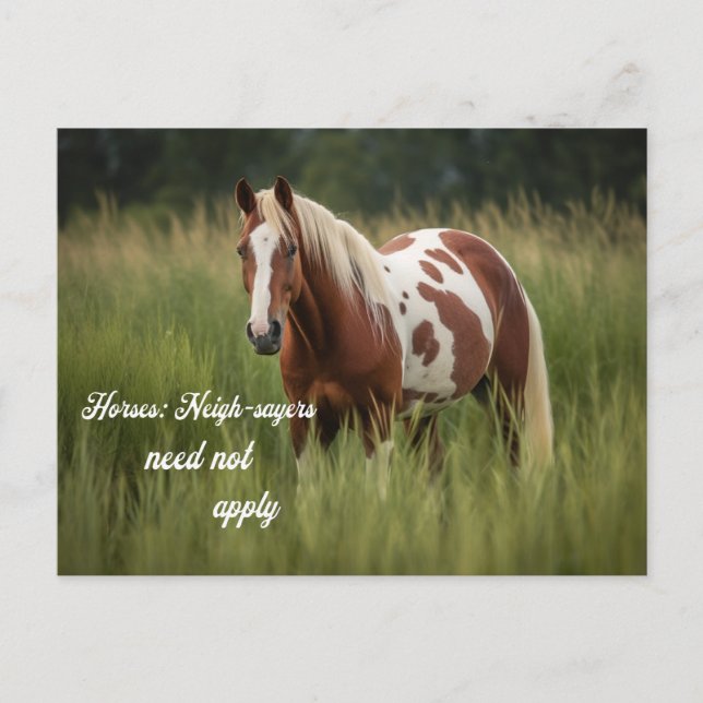 Horses Neighsayers Need Not Apply Pinto Postcard (Front)