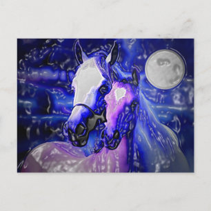 Horses & Night Postcard