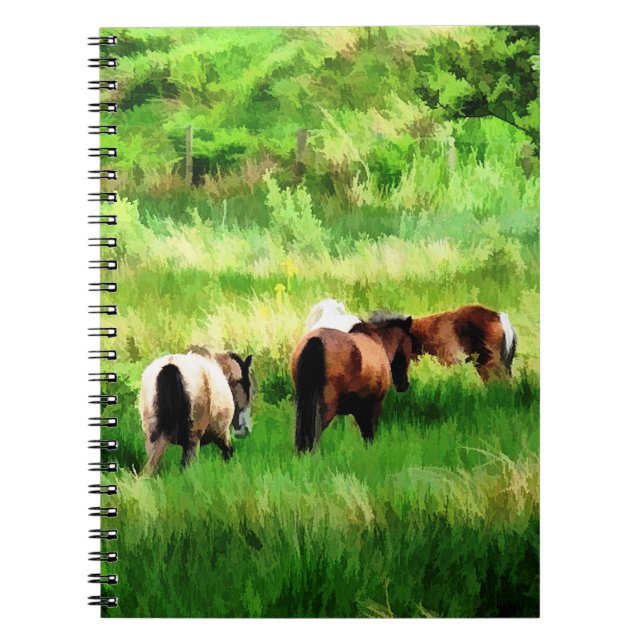 HORSES NOTEBOOK (Front)