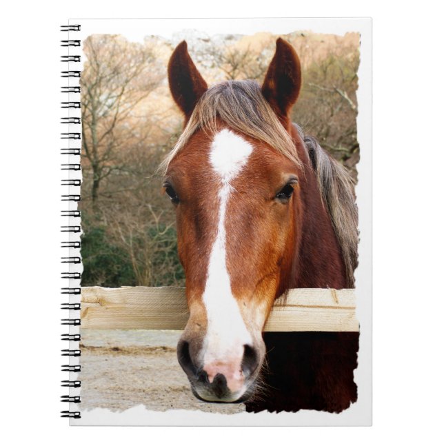 HORSES NOTEBOOK (Front)