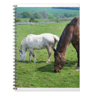 Horses Notebook