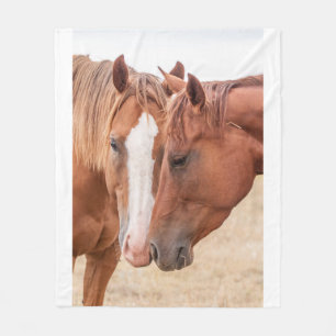 Horses nuzzling in a pasture fleece blanket