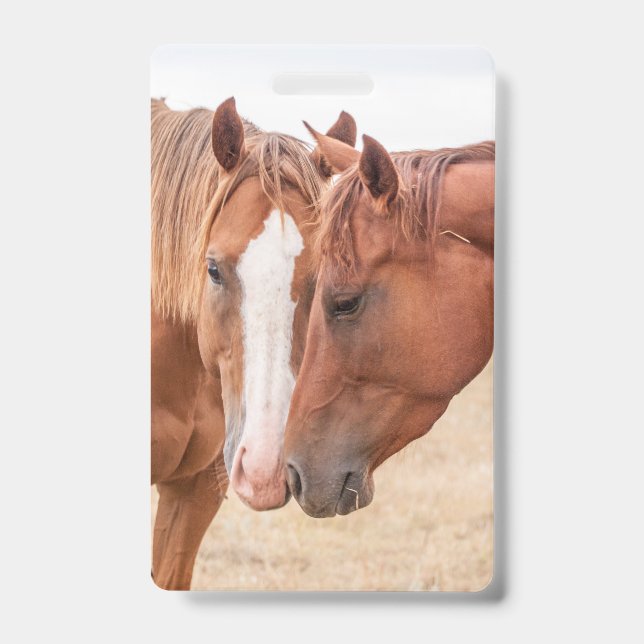 Horses nuzzling in a pasture ID badge (Front)