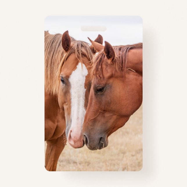 Horses nuzzling in a pasture ID badge (Front)