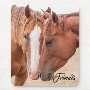 Horses nuzzling in a pasture mouse mat