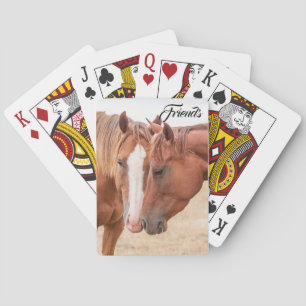 Horses nuzzling in a pasture  playing cards
