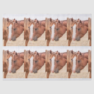 Horses nuzzling in a pasture tissue paper
